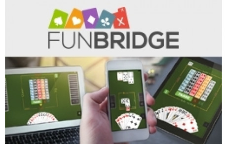 Fun bridge